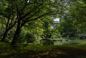 Tranquil lake surrounded by lush green foliage.