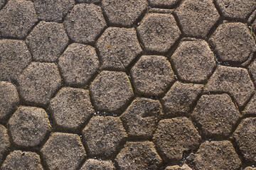 Tortoise shell pattern on the ground