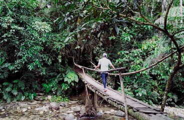 Person hiking through the Amazonian jungle to waterfall Hola Vida, Puyo © Wirestock