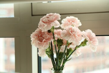 Closeup of Carnations arranged in a vase near the transparent window