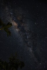 Vibrant night scene with stars and palm trees illuminated against a dark sky