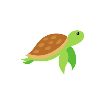 Turtle. Flat vector illustration. Elements suitable for animation.