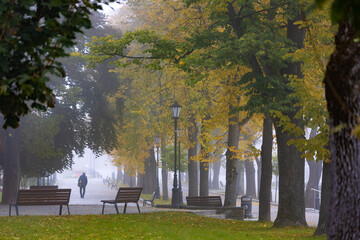 Deptak Krynicki w porannych mgłach jesienią. Widok na park. - obrazy, fototapety, plakaty
