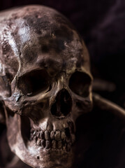 Close-up shot of a human skull against a dark background