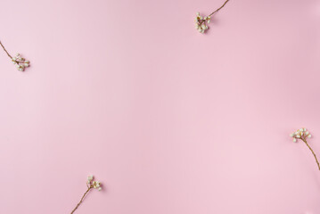 Frame of flowers on pink background. Copy space