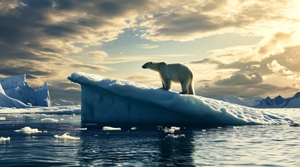 Fototapeten a polar bear on an iceberg in the water © Zacon