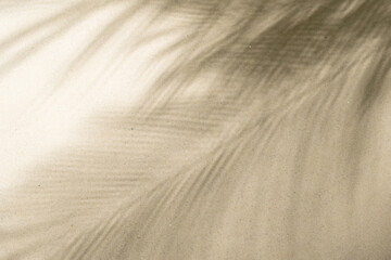 The shadow of a palm tree branch on the sand of a sandy tropical beach. Background, copy space, travel, summer concept.
