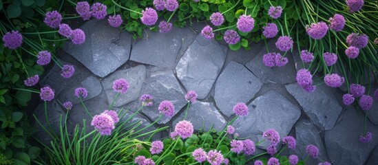 A natural landscape with a stone walkway, purple flowers, greenery, and vibrant plant life, including pink petals, violet shrubs, and lush grass.
