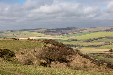 Fototapeta premium A view over the South Downs from Kingston Ridge, on a spring day