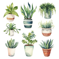 Fototapeta na wymiar Watercolor illustration of various potted houseplants isolated on white background.