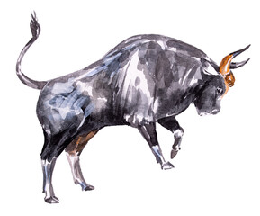 Strong bull illustration.Watercolor buffalo painting isolated on a white background.