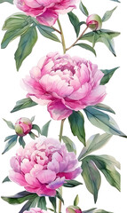 Watercolor floral illustrations of peonies including buds, leaves, frames, borders, and seamless patterns for wedding invitations, greeting cards, or posters.