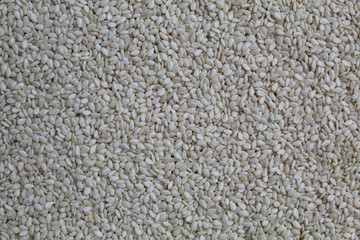 White sesame seeds as background