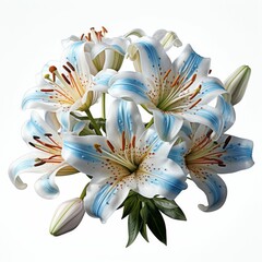 White and Blue Flower Bouquet on White Background