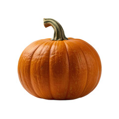 Photo of a pumpkin on a white background (.png)