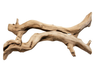 Naklejka premium dried branch isolated on transparent background