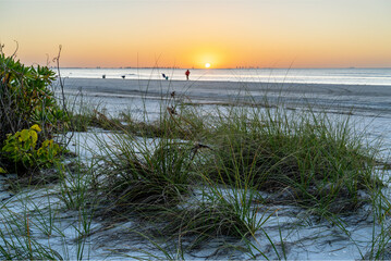 Beach goers collecting seashells brought on shore by  a recent storm and low tide as the sun rising over a distant city, Sanibel Island, Florida