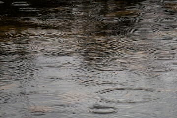 Ripples in a Lake