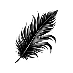 Bird Feather. Feathers vector set in a flat style silhouette