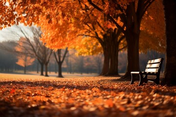 Naklejka na ściany i meble Natures canvas a park adorned with vivid autumnal orange hues