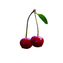 A pair of glossy cherries with stems and a leaf, showcasing their vibrant red hue against a white backdrop.