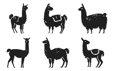 Llama vector illustration set. Cute lama, alpaca in style of hand drawn black doodle on white background. Farm animals, domestic pet silhouette sketch
