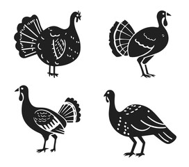 Turkey vector illustration set. Thanksgiving bird in style of hand drawn black doodle on white background. Farm animals, domestic pet silhouette sketch