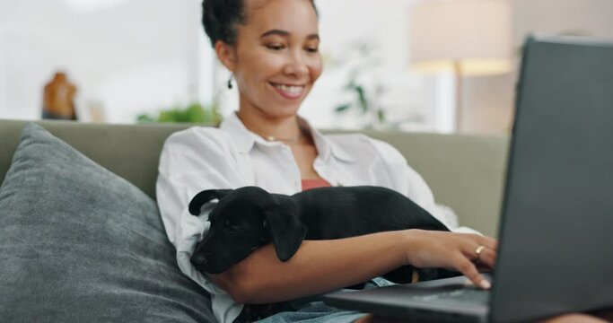 Remote worker, laptop and woman with dog on a sofa for comfort while online with client, feedback or communication. Freelance, pet and female writer in a living room with puppy while checking email