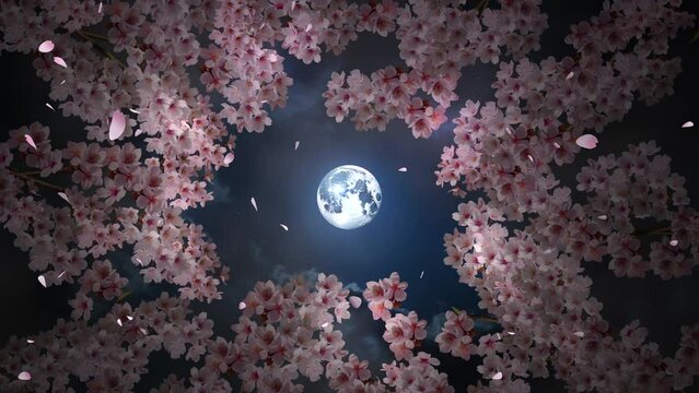 生成 AI による月夜のイメージとそよ風に揺れる夜桜を回転しながら見上げた風景