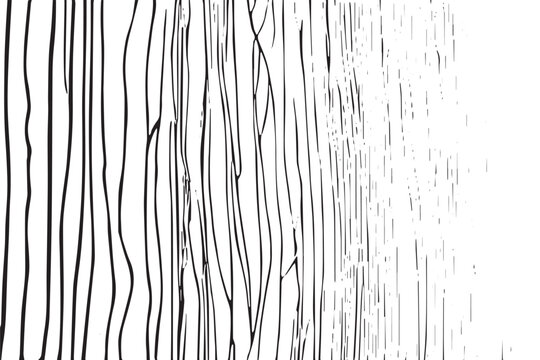 black texture on white background, vector image grunge overlay destressed background texture