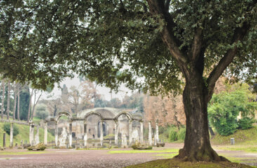 Fototapeta na wymiar Big Oak with blurred background of Villa Adriana canopus