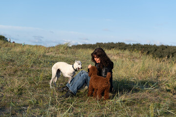 Urlaub mit Hunden an der Nordsee in Norddeich