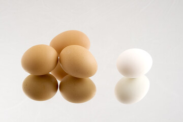 Group Of Brown Eggs And A Single White Egg On A Reflective Surface, Illustrating The Concept Of Individuality And Uniqueness Among The Majority