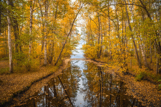 Canal through autumn scene in Sweden