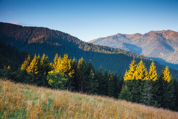 Breathtaking view of the mountainous area in morning. Carpathian National Park, Ukraine.