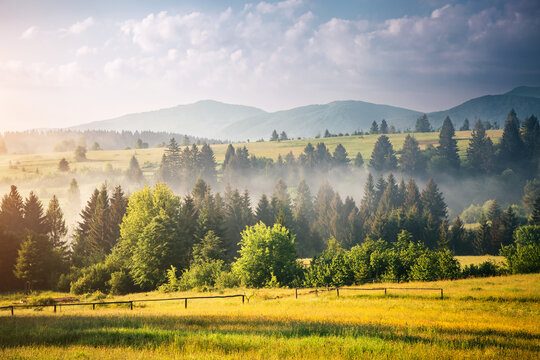 Peaceful view of the mountainous area with fog in the morning. Carpathian National Park, Ukraine, Europe.
