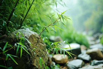 Gordijnen Bamboo leaves and rock in the forest with morning light, nature background © Brushstroke