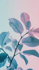 Pastel Leaves in Soft Minimalist Display. Background for Instagram Story, Banner