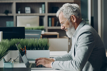 Confident mature businessman working on laptop while sitting at his working place in office