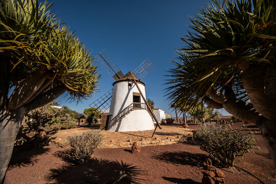 Molino de viento, Fuerteventura, Islas Canarias