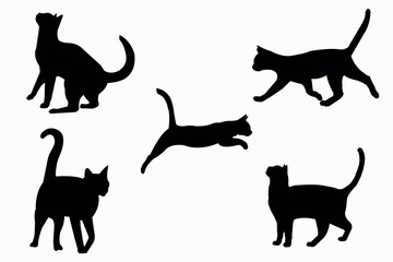 Cat black - vector silhouette