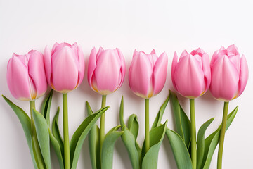 Fototapeta premium Spring, Happy Easter flowers background. Mother's Day. International Women's Day card, pink tulips