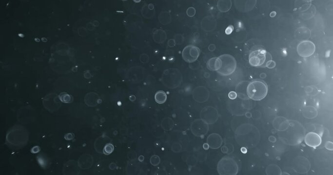 Floating abstract particle bokeh on dark background