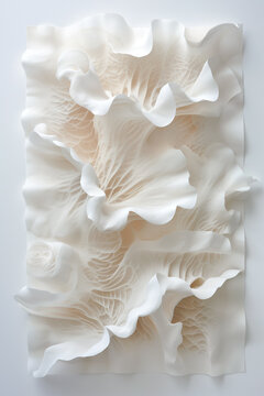 Paper sculpture of organic shapes seashell on white background
