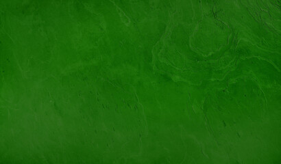 seamless grungy green concrete texture use as background. green stone wall background. grunge...