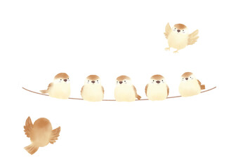 並んだスズメ達の水彩イラスト