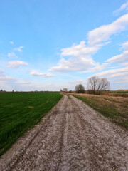 Fototapeta na wymiar The image depicts a dirt road extending through a green field under a blue sky with scattered clouds.