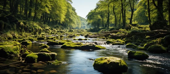 Selbstklebende Fototapete Waldfluss River flowing waterfall from wild forest. Green mossy river rocks