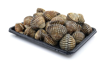 Fresh cockles  on a white background. Natural seafood.
