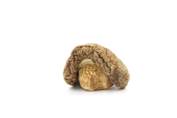 dried shiitake mushrooms isolated on white background